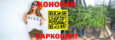 прущая мука Шахты