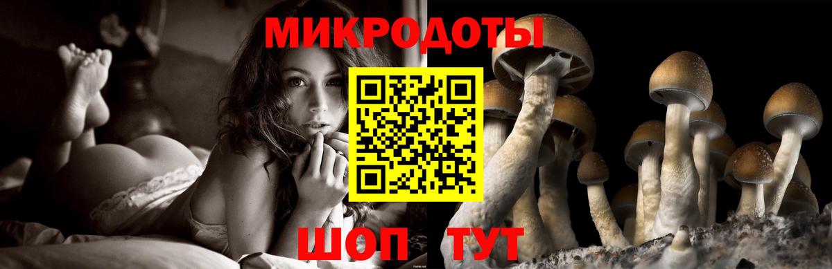 Псилоцибиновые грибы прущие грибы Донецк